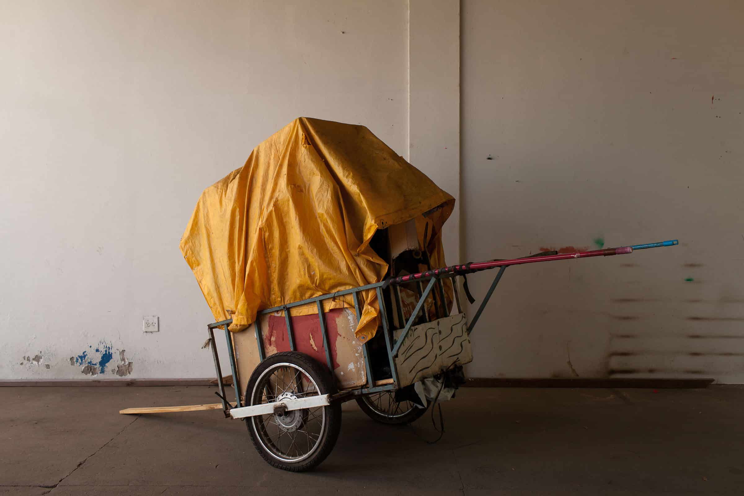 Vapor-©-Mauricio-Pokemon2